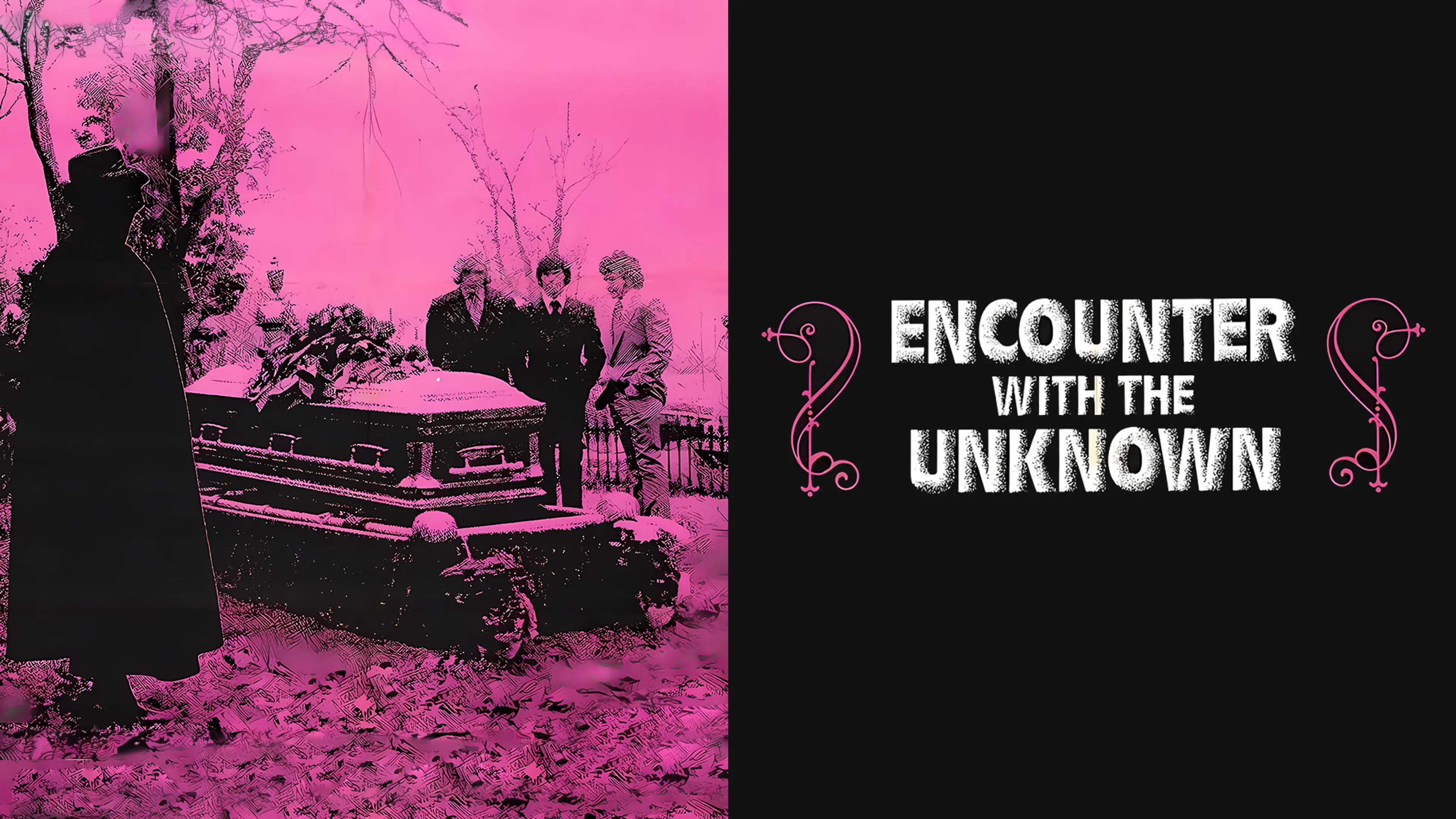 Encounter with the Unknown poster
